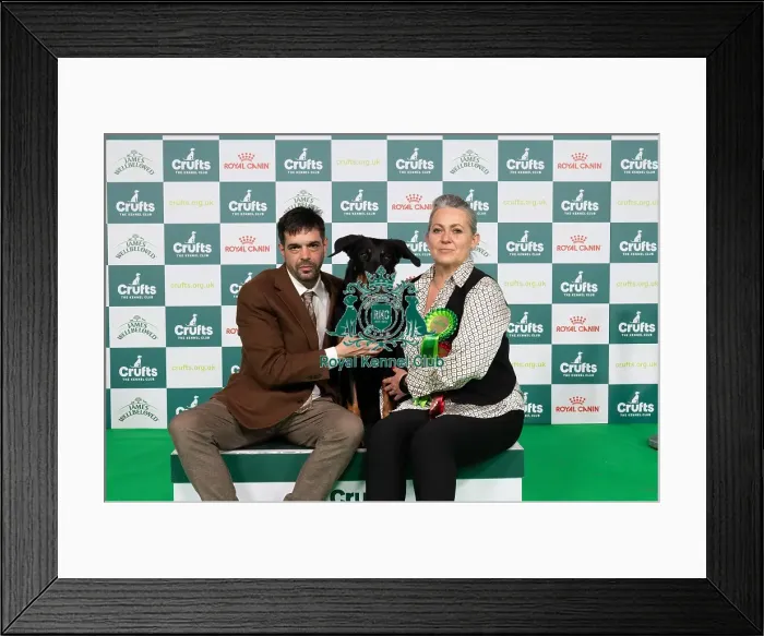 Framed Print : D-C-D-0-1-9-0 Crufts 2024 NEC Birmingham Pastoral Framed Print : D-C-D-0-1-9-0 Crufts 2024 NEC Birmingham Pastoral