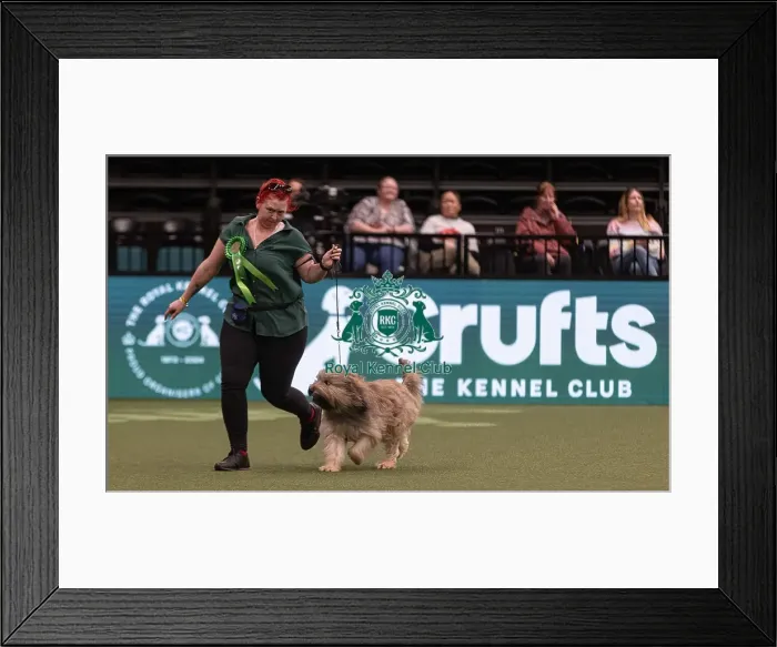 Framed Print : D-C-D-0-1-9-0 Crufts 2024 NEC Birmingham Pastoral Framed Print : D-C-D-0-1-9-0 Crufts 2024 NEC Birmingham Pastoral
