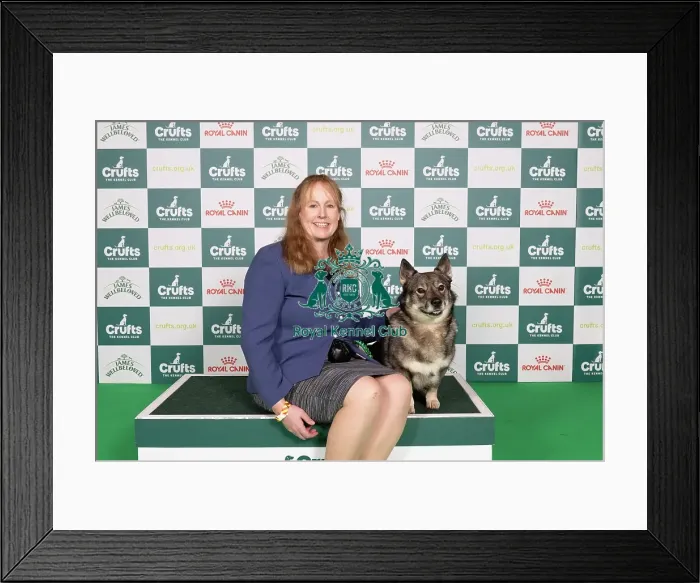 Framed Print : D-C-D-0-1-9-0 Crufts 2024 NEC Birmingham Pastoral Framed Print : D-C-D-0-1-9-0 Crufts 2024 NEC Birmingham Pastoral