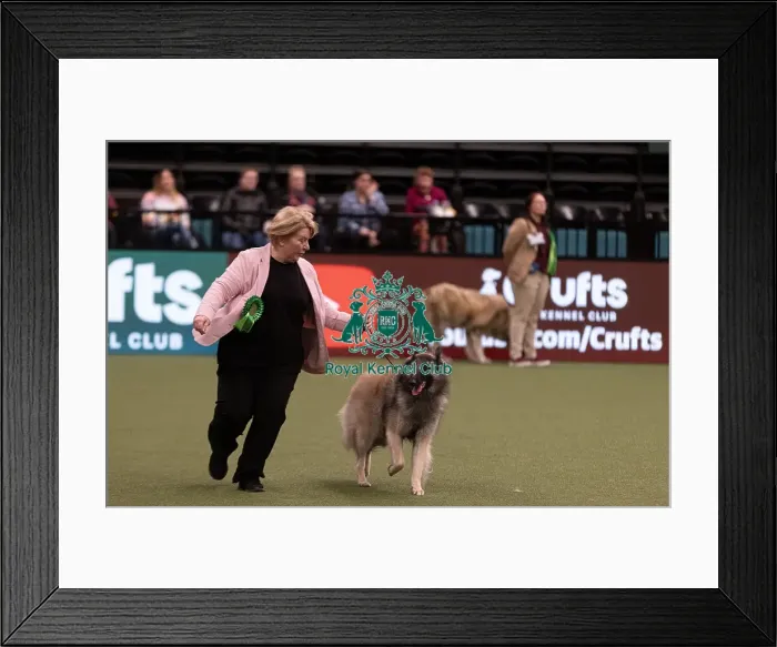 Framed Print : D-C-D-0-1-9-0 Crufts 2024 NEC Birmingham Pastoral Framed Print : D-C-D-0-1-9-0 Crufts 2024 NEC Birmingham Pastoral