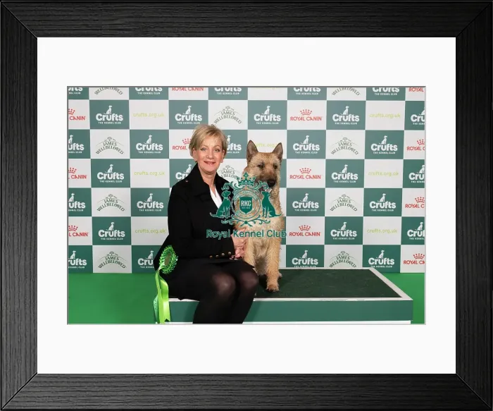 Framed Print : D-C-D-0-1-9-0 Crufts 2024 NEC Birmingham Pastoral Framed Print : D-C-D-0-1-9-0 Crufts 2024 NEC Birmingham Pastoral