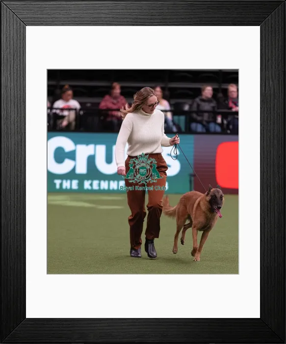 Framed Print : D-C-D-0-1-9-0 Crufts 2024 NEC Birmingham Pastoral Framed Print : D-C-D-0-1-9-0 Crufts 2024 NEC Birmingham Pastoral