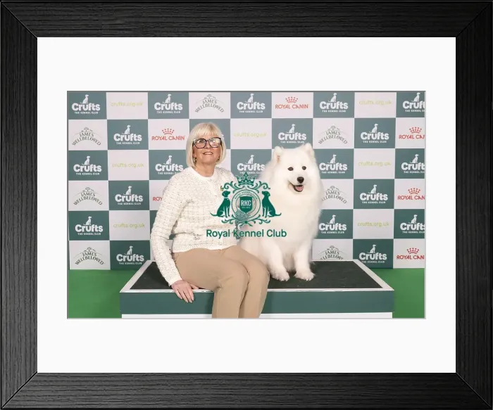 Framed Print : D-C-D-0-1-9-0 Crufts 2024 NEC Birmingham Pastoral Framed Print : D-C-D-0-1-9-0 Crufts 2024 NEC Birmingham Pastoral