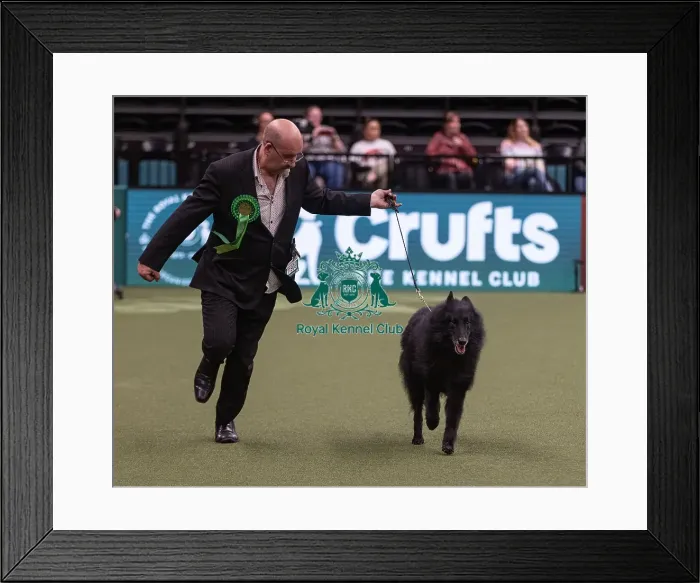 Framed Print : D-C-D-0-1-9-0 Crufts 2024 NEC Birmingham Pastoral Framed Print : D-C-D-0-1-9-0 Crufts 2024 NEC Birmingham Pastoral