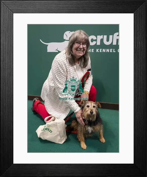 Framed Print : D-C-D-0-1-9-0 Crufts 2024 NEC Birmingham Day 3 Framed Print : D-C-D-0-1-9-0 Crufts 2024 NEC Birmingham Day 3