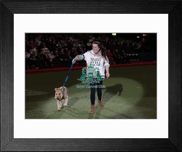 Framed Print : D-C-D-0-1-9-0 Crufts 2024 NEC Birmingham Day 3