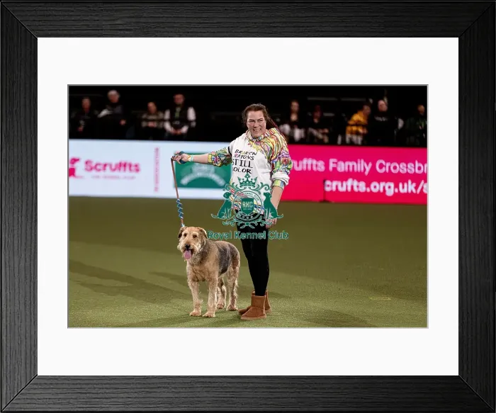 Framed Print : D-C-D-0-1-9-0 Crufts 2024 NEC Birmingham Day 3 Framed Print : D-C-D-0-1-9-0 Crufts 2024 NEC Birmingham Day 3