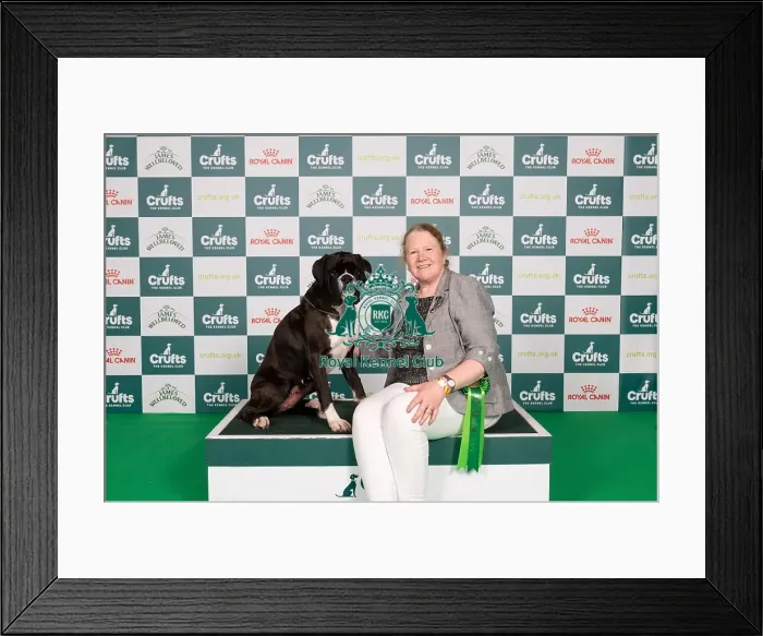 Framed Print : D-C-D-0-1-9-0 Crufts 2024 NEC Birmingham Working Framed Print : D-C-D-0-1-9-0 Crufts 2024 NEC Birmingham Working