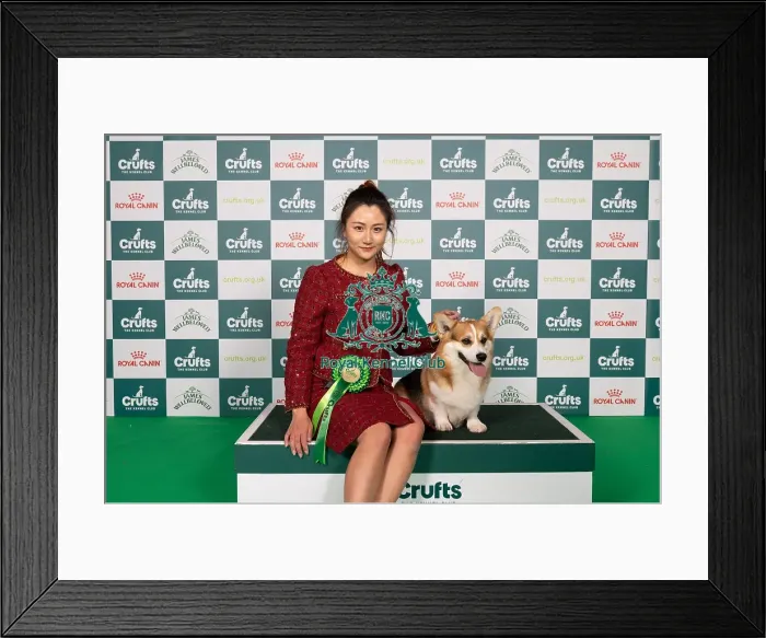Framed Print : D-C-D-0-1-9-0 Crufts 2024 NEC Birmingham Pastoral Framed Print : D-C-D-0-1-9-0 Crufts 2024 NEC Birmingham Pastoral