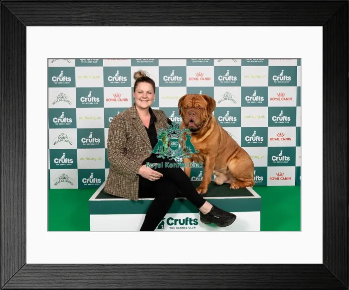 Framed Print : D-C-D-0-1-9-0 Crufts 2024 NEC Birmingham Working Framed Print : D-C-D-0-1-9-0 Crufts 2024 NEC Birmingham Working