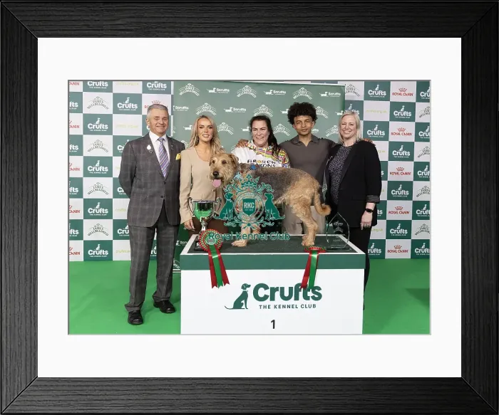Framed Print : D-C-D-0-1-9-0 Crufts 2024 NEC Birmingham Day 3 Framed Print : D-C-D-0-1-9-0 Crufts 2024 NEC Birmingham Day 3