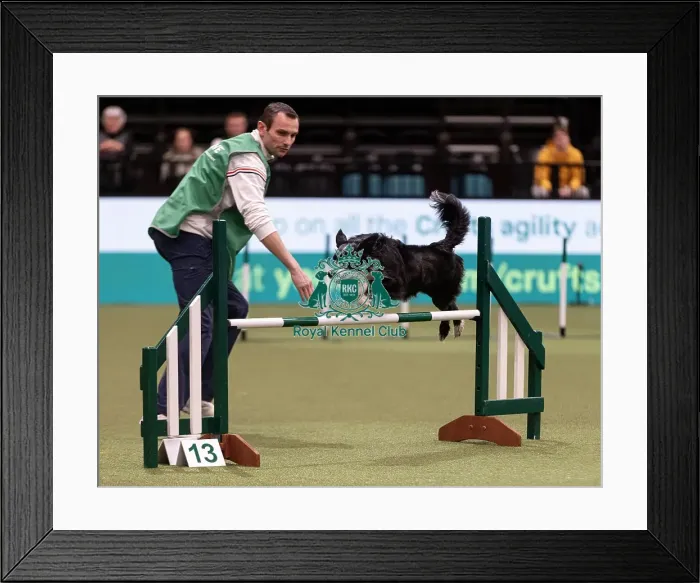 Framed Print : D-C-D-0-1-9-0 Crufts 2024 NEC Birmingham Day 3 Framed Print : D-C-D-0-1-9-0 Crufts 2024 NEC Birmingham Day 3