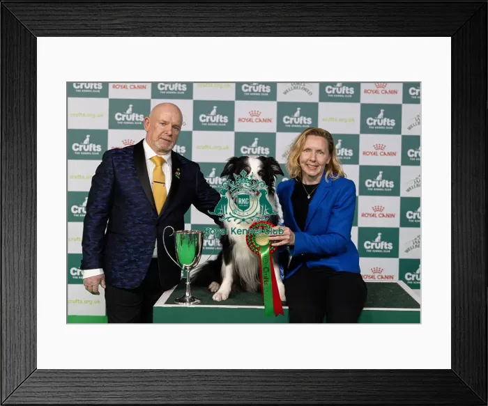 Framed Print : D-C-D-0-1-9-0 Crufts 2024 NEC Birmingham Day 3 Framed Print : D-C-D-0-1-9-0 Crufts 2024 NEC Birmingham Day 3