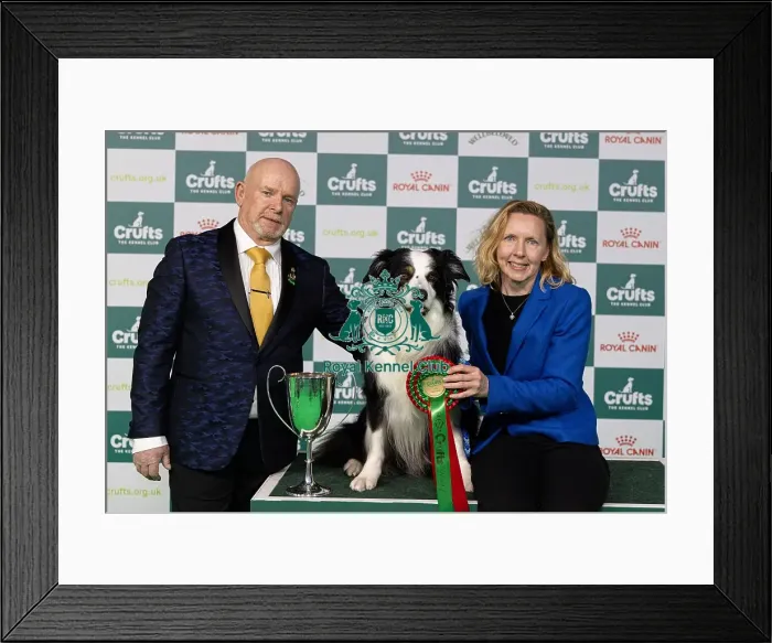 Framed Print : D-C-D-0-1-9-0 Crufts 2024 NEC Birmingham Day 3 Framed Print : D-C-D-0-1-9-0 Crufts 2024 NEC Birmingham Day 3