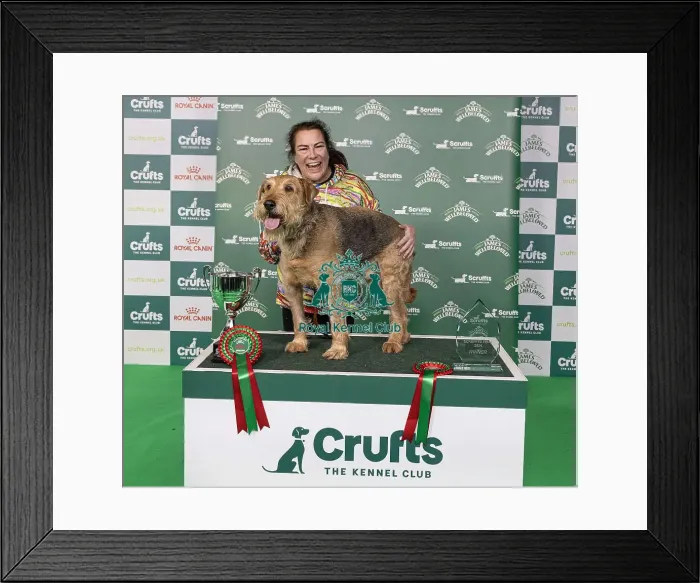 Framed Print : D-C-D-0-1-9-0 Crufts 2024 NEC Birmingham Day 3