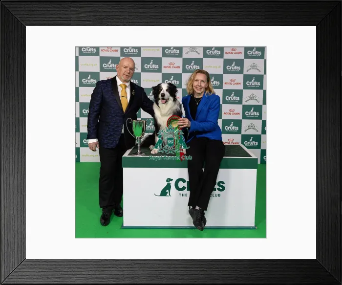 Framed Print : D-C-D-0-1-9-0 Crufts 2024 NEC Birmingham Day 3
