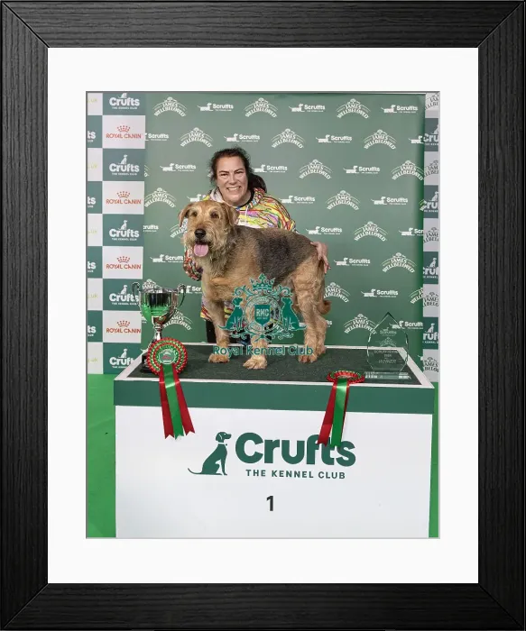 Framed Print : D-C-D-0-1-9-0 Crufts 2024 NEC Birmingham Day 3 Framed Print : D-C-D-0-1-9-0 Crufts 2024 NEC Birmingham Day 3