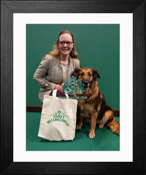 Framed Print : D-C-D-0-1-9-0 Crufts 2024 NEC Birmingham Day 3 Framed Print : D-C-D-0-1-9-0 Crufts 2024 NEC Birmingham Day 3