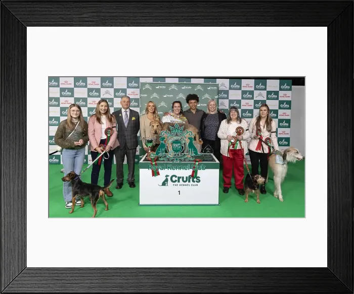 Framed Print : D-C-D-0-1-9-0 Crufts 2024 NEC Birmingham Day 3 Framed Print : D-C-D-0-1-9-0 Crufts 2024 NEC Birmingham Day 3