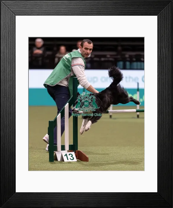 Framed Print : D-C-D-0-1-9-0 Crufts 2024 NEC Birmingham Day 3 Framed Print : D-C-D-0-1-9-0 Crufts 2024 NEC Birmingham Day 3