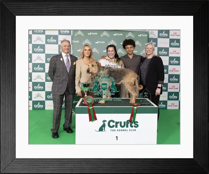 Framed Print : D-C-D-0-1-9-0 Crufts 2024 NEC Birmingham Day 3 Framed Print : D-C-D-0-1-9-0 Crufts 2024 NEC Birmingham Day 3