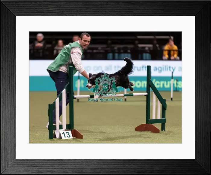 Framed Print : D-C-D-0-1-9-0 Crufts 2024 NEC Birmingham Day 3 Framed Print : D-C-D-0-1-9-0 Crufts 2024 NEC Birmingham Day 3