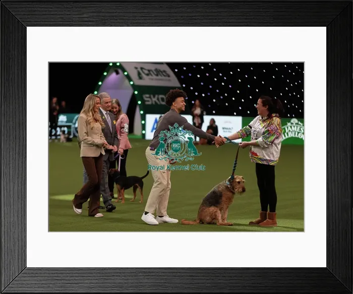 Framed Print : D-C-D-0-1-9-0 Crufts 2024 NEC Birmingham Day 3 Framed Print : D-C-D-0-1-9-0 Crufts 2024 NEC Birmingham Day 3