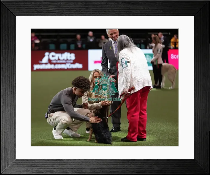 Framed Print : D-C-D-0-1-9-0 Crufts 2024 NEC Birmingham Day 3 Framed Print : D-C-D-0-1-9-0 Crufts 2024 NEC Birmingham Day 3