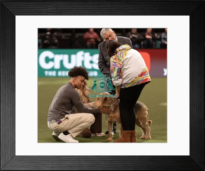 Framed Print : D-C-D-0-1-9-0 Crufts 2024 NEC Birmingham Day 3 Framed Print : D-C-D-0-1-9-0 Crufts 2024 NEC Birmingham Day 3