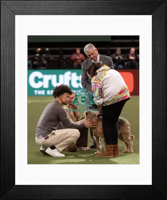 Framed Print : D-C-D-0-1-9-0 Crufts 2024 NEC Birmingham Day 3 Framed Print : D-C-D-0-1-9-0 Crufts 2024 NEC Birmingham Day 3