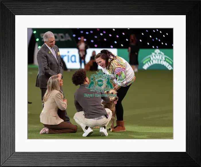 Framed Print : D-C-D-0-1-9-0 Crufts 2024 NEC Birmingham Day 3 Framed Print : D-C-D-0-1-9-0 Crufts 2024 NEC Birmingham Day 3