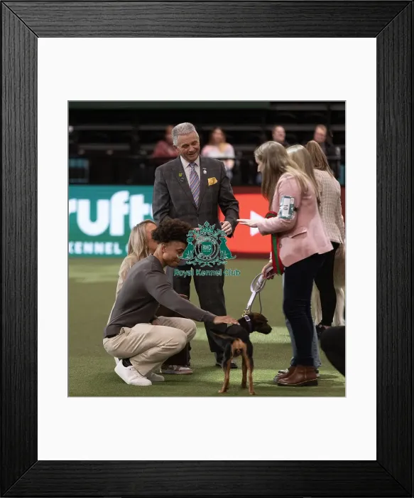 Framed Print : D-C-D-0-1-9-0 Crufts 2024 NEC Birmingham Day 3 Framed Print : D-C-D-0-1-9-0 Crufts 2024 NEC Birmingham Day 3