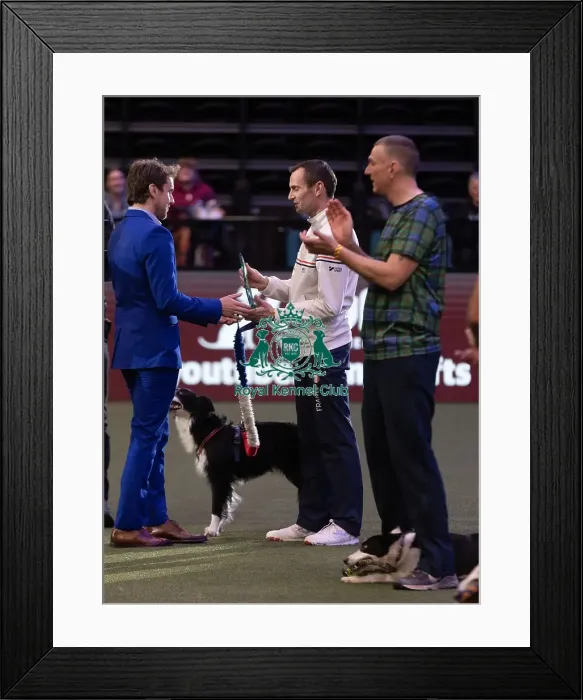 Framed Print : D-C-D-0-1-9-0 Crufts 2024 NEC Birmingham Day 3 Framed Print : D-C-D-0-1-9-0 Crufts 2024 NEC Birmingham Day 3