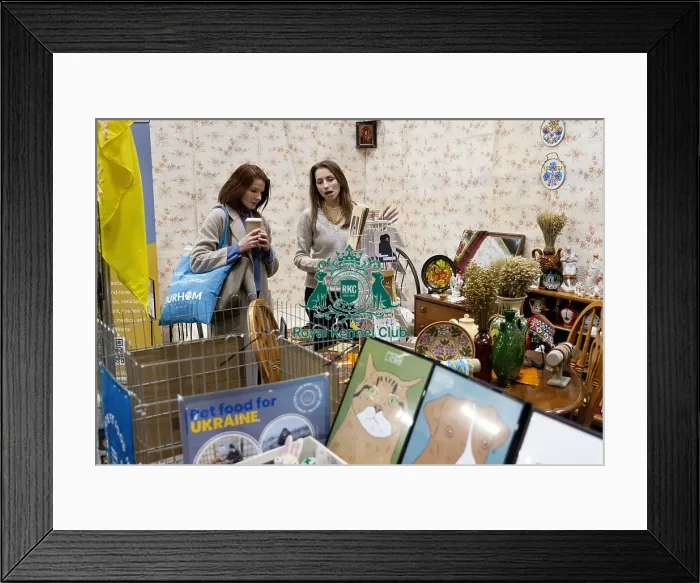 Framed Print : D-C-D-0-1-9-0 Crufts 2024 NEC Birmingham Day 3 Framed Print : D-C-D-0-1-9-0 Crufts 2024 NEC Birmingham Day 3