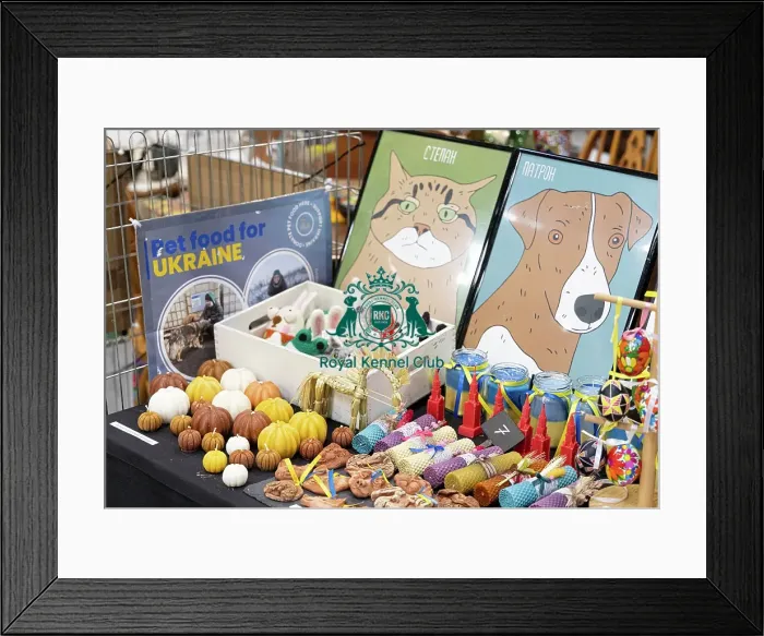 Framed Print : D-C-D-0-1-9-0 Crufts 2024 NEC Birmingham Day 3 Framed Print : D-C-D-0-1-9-0 Crufts 2024 NEC Birmingham Day 3