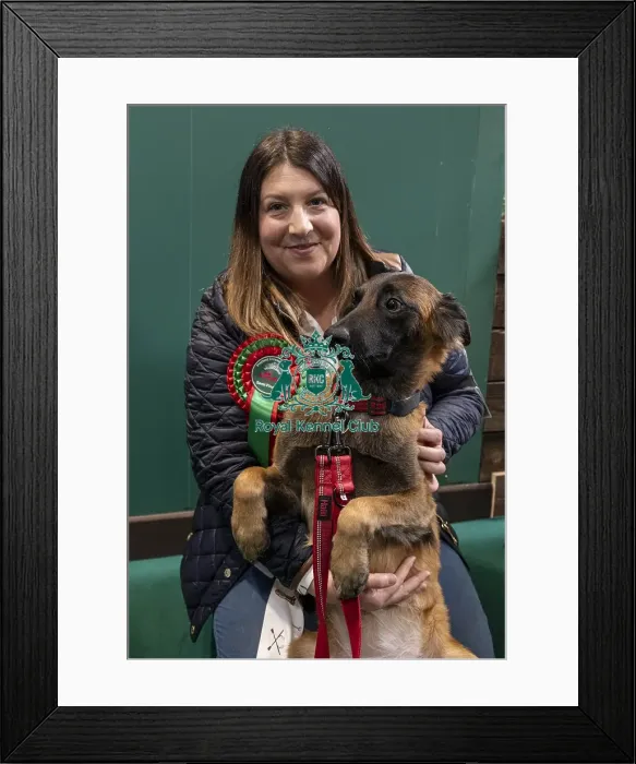 Framed Print : D-C-D-0-1-9-0 Crufts 2024 NEC Birmingham Day 3 Framed Print : D-C-D-0-1-9-0 Crufts 2024 NEC Birmingham Day 3