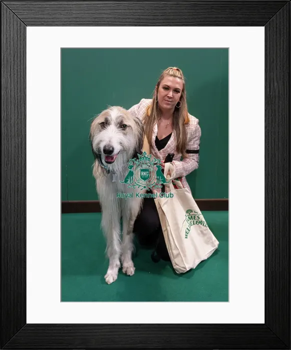 Framed Print : D-C-D-0-1-9-0 Crufts 2024 NEC Birmingham Day 3