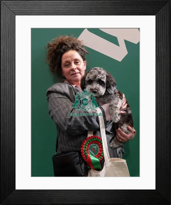 Framed Print : D-C-D-0-1-9-0 Crufts 2024 NEC Birmingham Day 3 Framed Print : D-C-D-0-1-9-0 Crufts 2024 NEC Birmingham Day 3