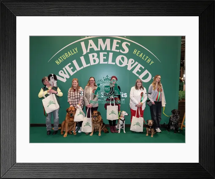 Framed Print : D-C-D-0-1-9-0 Crufts 2024 NEC Birmingham Day 3 Framed Print : D-C-D-0-1-9-0 Crufts 2024 NEC Birmingham Day 3
