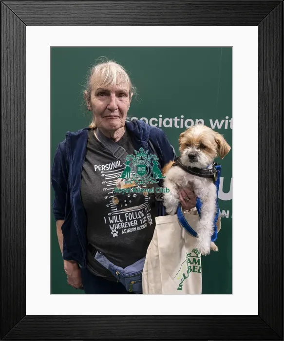 Framed Print : D-C-D-0-1-9-0 Crufts 2024 NEC Birmingham Day 3 Framed Print : D-C-D-0-1-9-0 Crufts 2024 NEC Birmingham Day 3