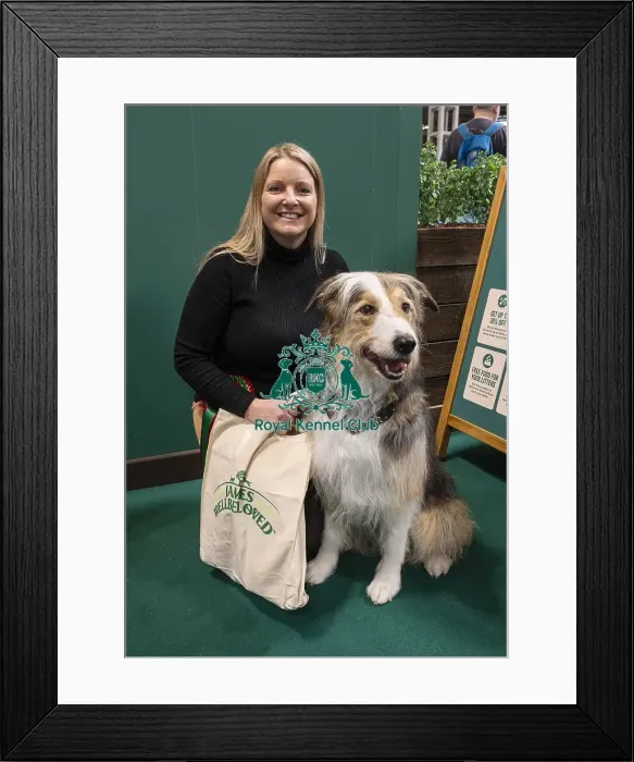 Framed Print : D-C-D-0-1-9-0 Crufts 2024 NEC Birmingham Day 3 Framed Print : D-C-D-0-1-9-0 Crufts 2024 NEC Birmingham Day 3