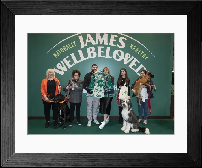 Framed Print : D-C-D-0-1-9-0 Crufts 2024 NEC Birmingham Day 3 Framed Print : D-C-D-0-1-9-0 Crufts 2024 NEC Birmingham Day 3