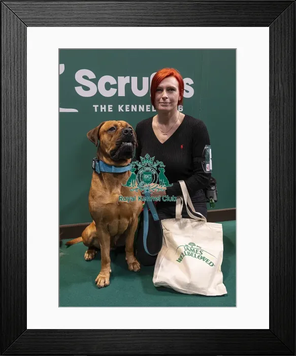 Framed Print : D-C-D-0-1-9-0 Crufts 2024 NEC Birmingham Day 3