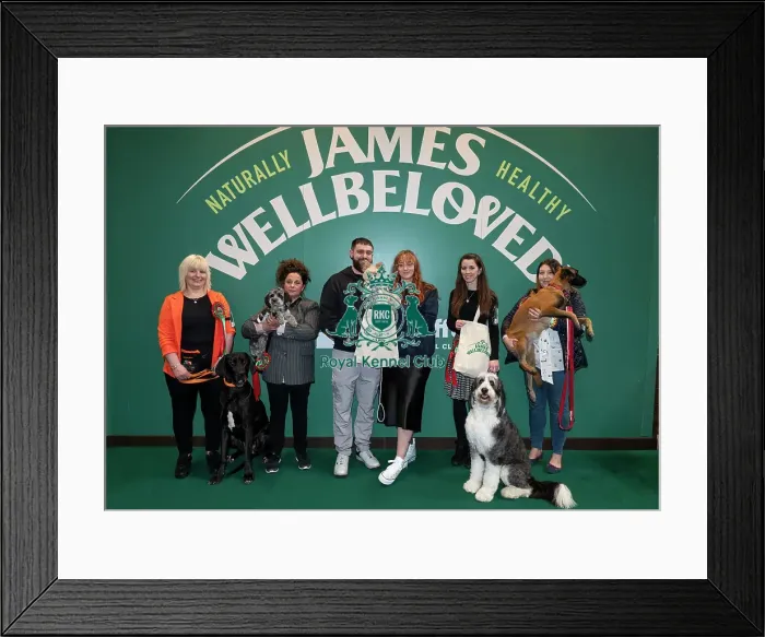 Framed Print : D-C-D-0-1-9-0 Crufts 2024 NEC Birmingham Day 3 Framed Print : D-C-D-0-1-9-0 Crufts 2024 NEC Birmingham Day 3