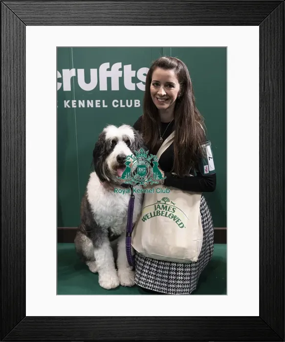 Framed Print : D-C-D-0-1-9-0 Crufts 2024 NEC Birmingham Day 3 Framed Print : D-C-D-0-1-9-0 Crufts 2024 NEC Birmingham Day 3