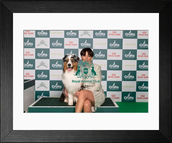 Framed Print : D-C-D-0-1-9-0 Crufts 2024 NEC Birmingham Pastoral Framed Print : D-C-D-0-1-9-0 Crufts 2024 NEC Birmingham Pastoral