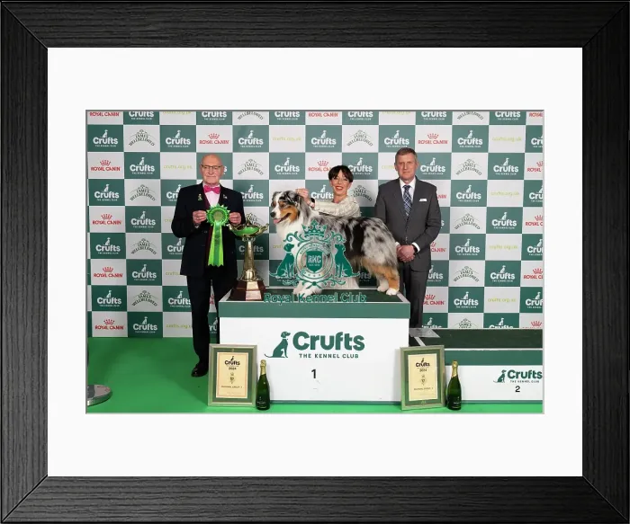 Framed Print : D-C-D-0-1-9-0 Crufts 2024 NEC Birmingham Pastoral Framed Print : D-C-D-0-1-9-0 Crufts 2024 NEC Birmingham Pastoral