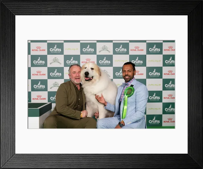 Framed Print : D-C-D-0-1-9-0 Crufts 2024 NEC Birmingham Pastoral Framed Print : D-C-D-0-1-9-0 Crufts 2024 NEC Birmingham Pastoral