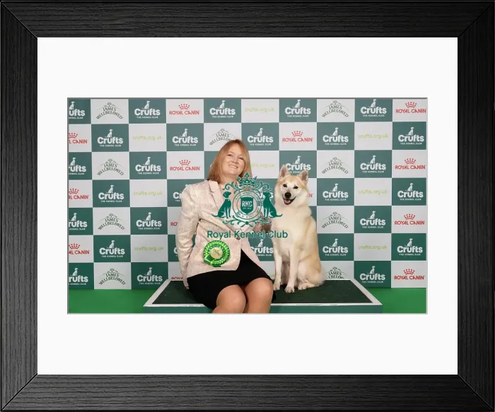 Framed Print : D-C-D-0-1-9-0 Crufts 2024 NEC Birmingham Pastoral