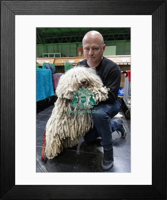 Framed Print : D-C-D-0-1-9-0 Crufts 2024 NEC Birmingham Day 3 Framed Print : D-C-D-0-1-9-0 Crufts 2024 NEC Birmingham Day 3